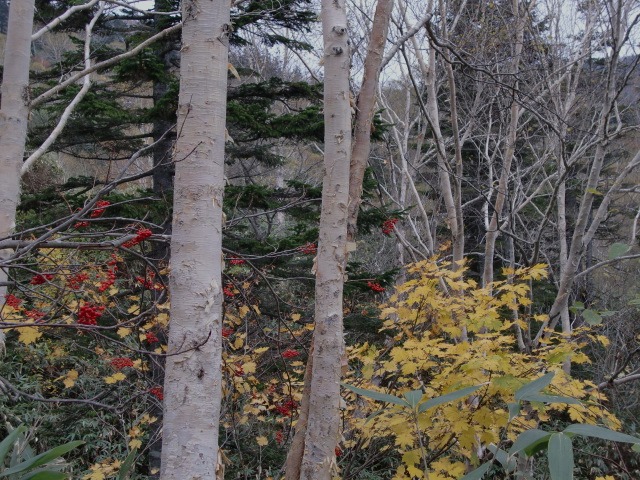 d0010065_21133534.jpg