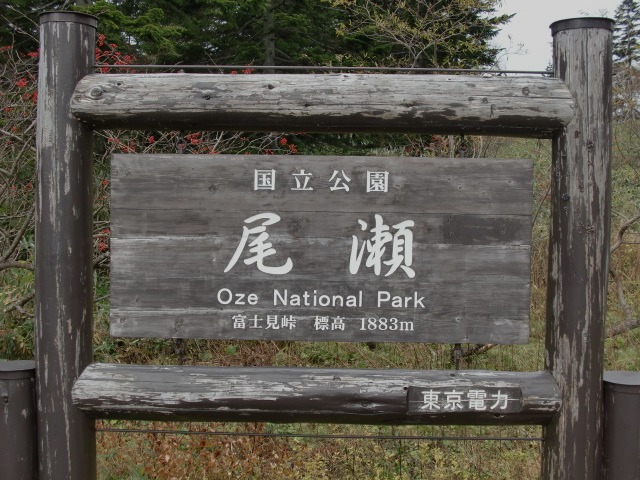d0010065_21133717.jpg