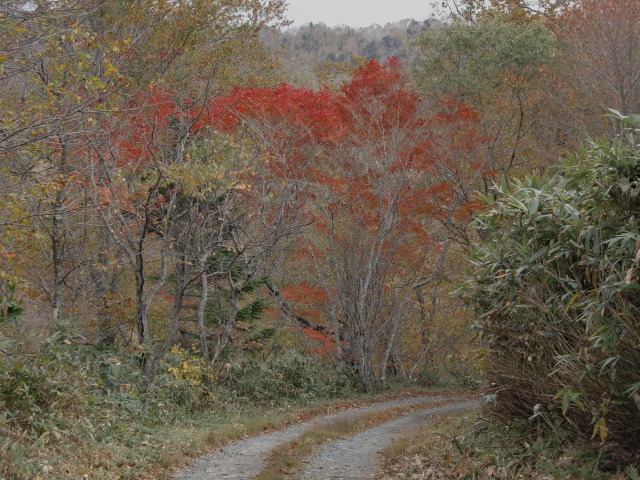 d0010065_21134732.jpg