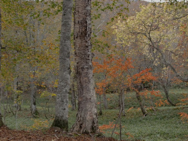 d0010065_21134929.jpg
