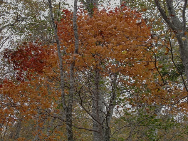 d0010065_2113538.jpg
