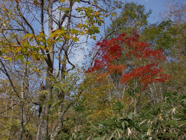 d0010065_21135543.jpg