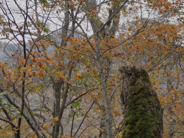 d0010065_2113989.jpg