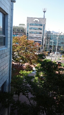 b0045267_1235409.jpg