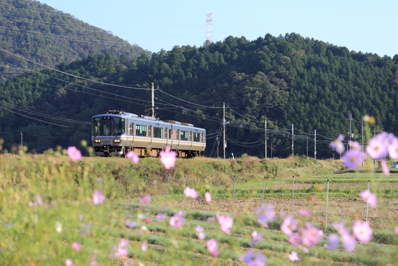 b0272368_1349630.jpg