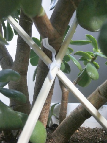 e0045768_2228428.jpg
