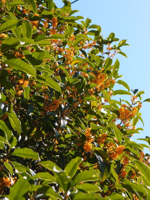 c0122670_22101877.jpg