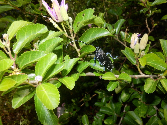 e0292172_20511986.jpg