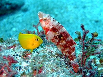 b0033573_11371146.jpg