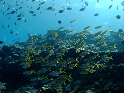 b0033573_1137434.jpg