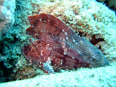 b0033573_1137516.jpg