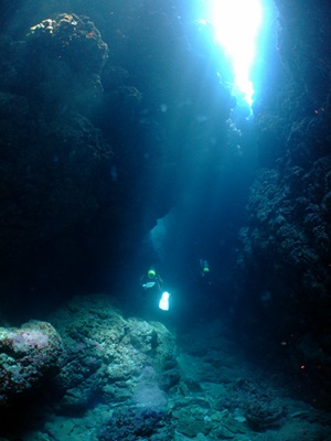 b0033573_1232583.jpg