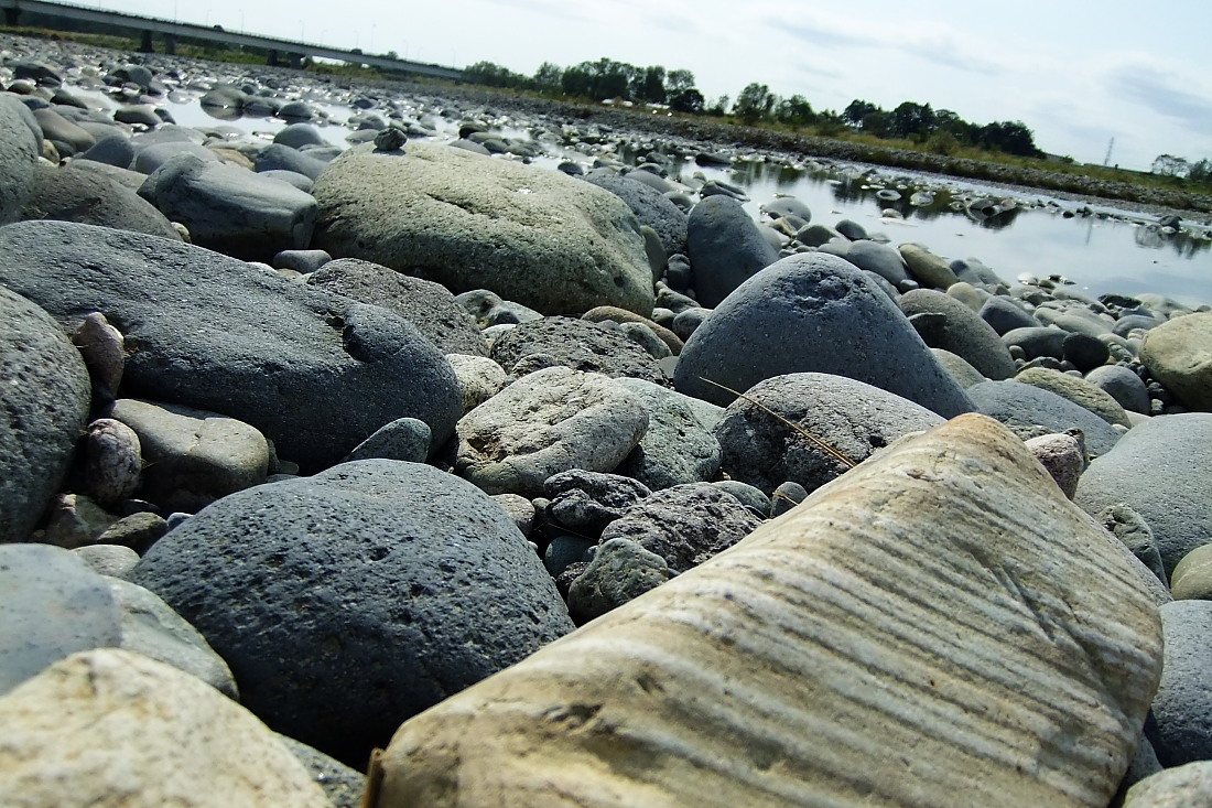 e0249878_237469.jpg