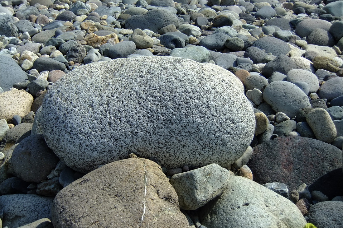 e0249878_2393910.jpg