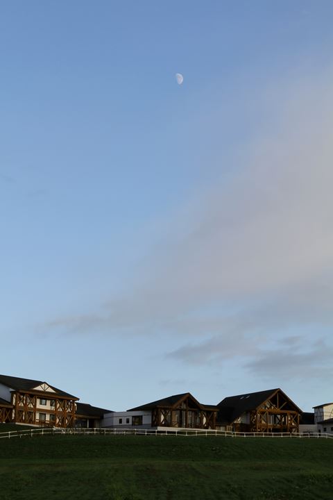 e0326479_8101029.jpg