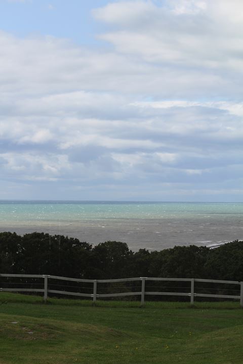e0326479_84883.jpg