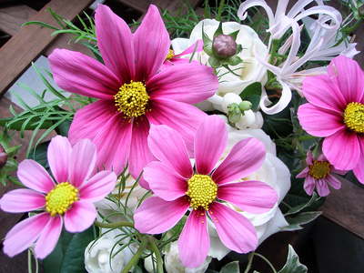 f0007380_1734205.jpg