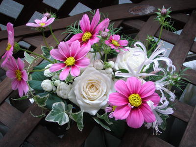 f0007380_17344016.jpg