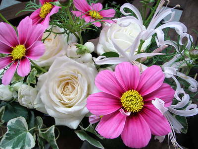 f0007380_1734666.jpg