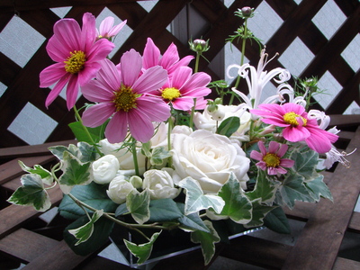 f0007380_17351586.jpg