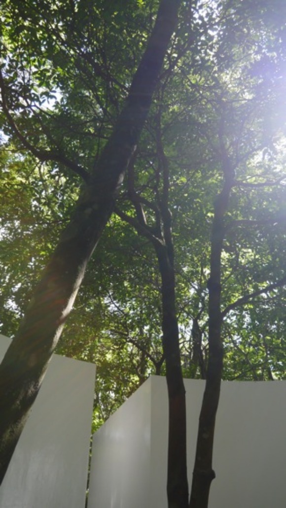 a0278382_0183227.jpg