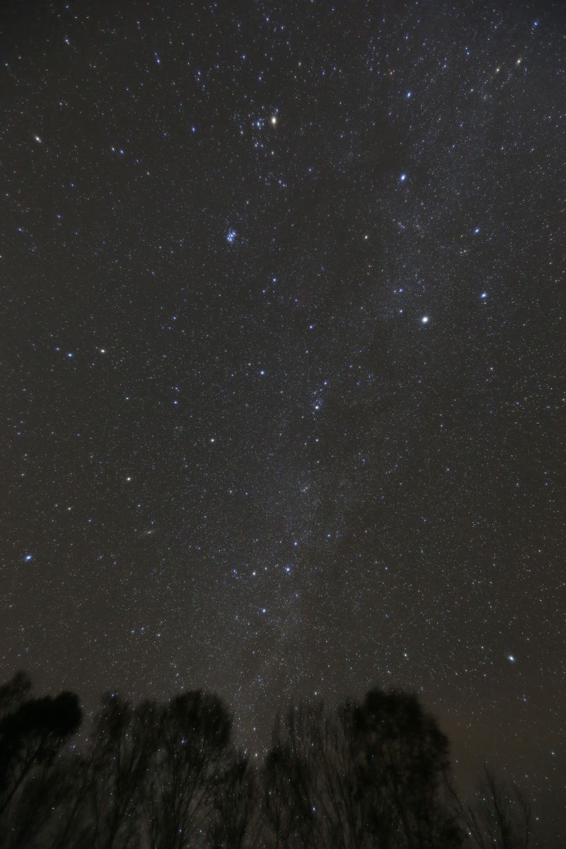 d0156082_1655476.jpg