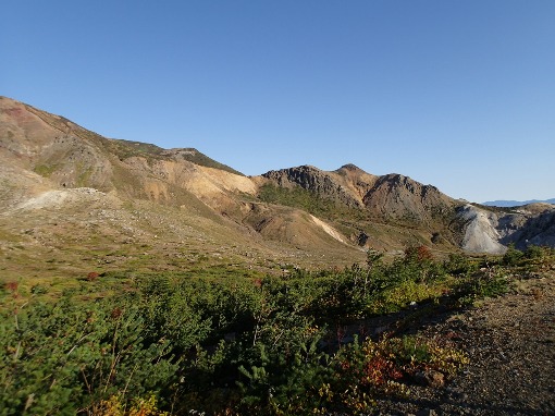 a0279883_1904030.jpg