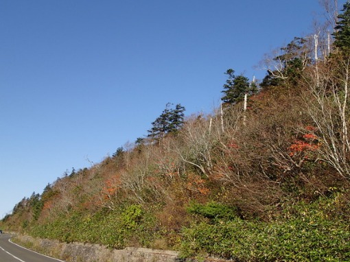 a0279883_19154820.jpg