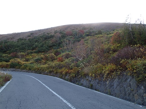 a0279883_1981133.jpg