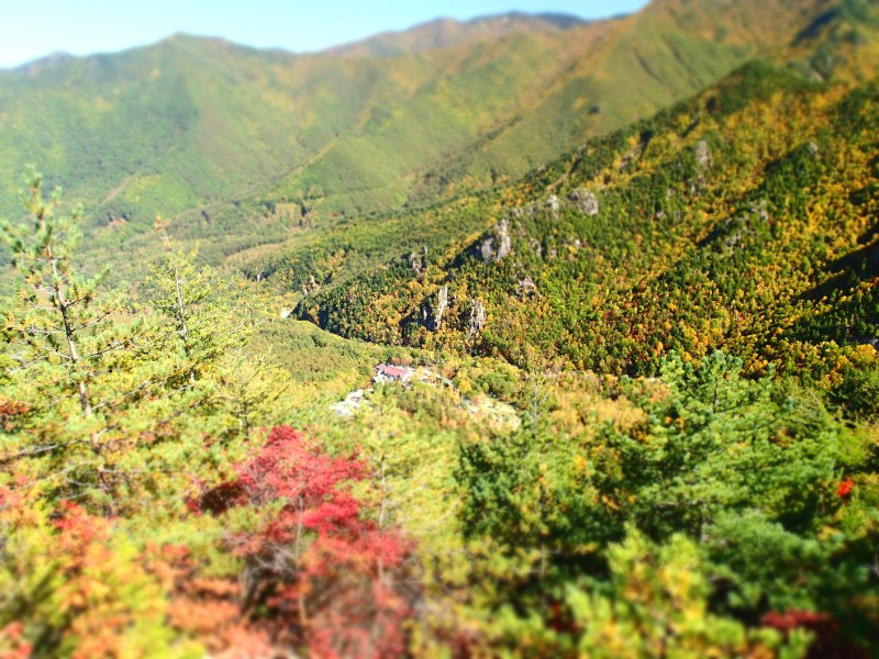 f0129994_21363397.jpg