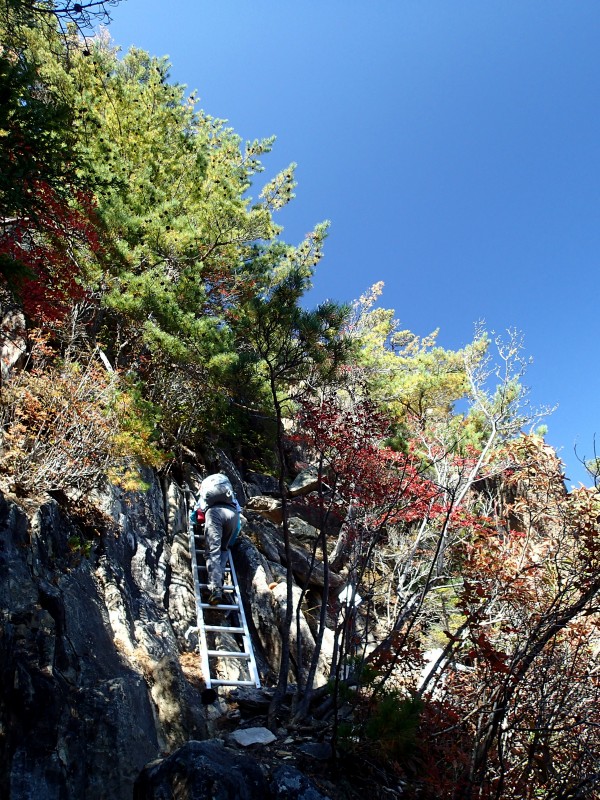 f0129994_21365380.jpg