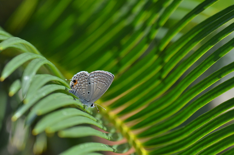 a0277496_173333.jpg