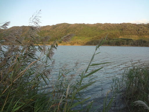 e0292102_11274387.jpg