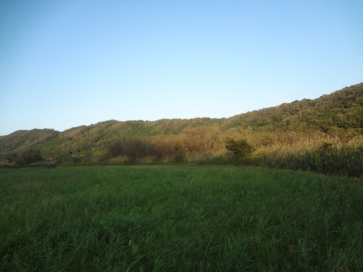 e0292102_11281419.jpg