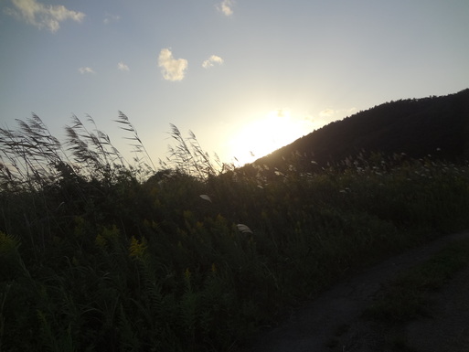 e0292102_11305656.jpg