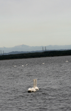f0041606_1947159.jpg
