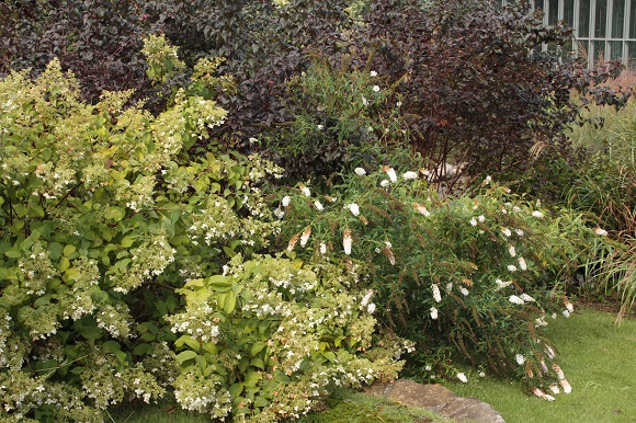 d0001008_10315751.jpg