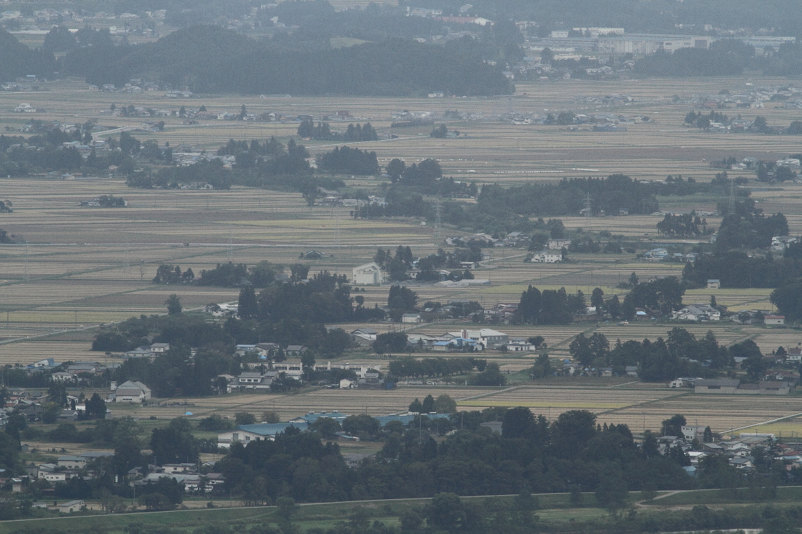 b0190710_20534996.jpg