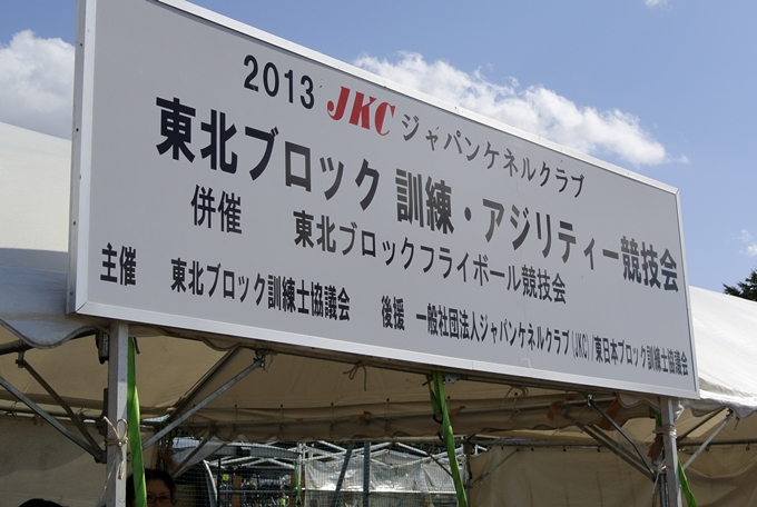 d0179113_0291315.jpg