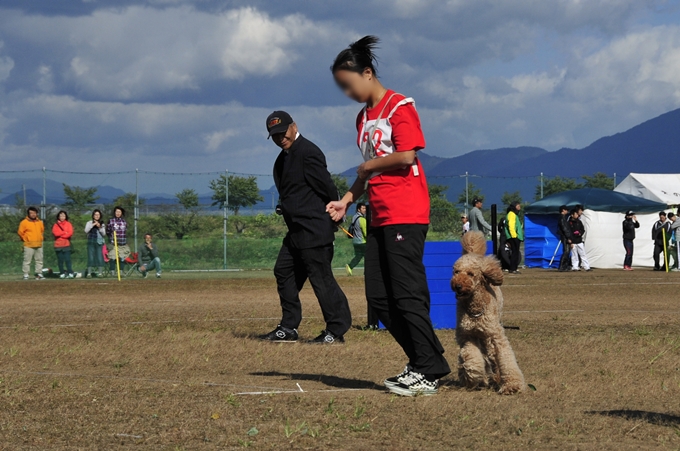 d0179113_0474711.jpg