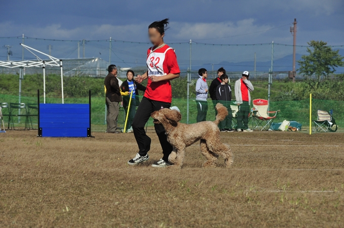 d0179113_0475847.jpg