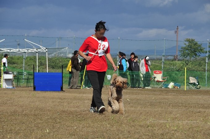 d0179113_0483130.jpg