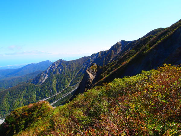 d0198313_13554563.jpg