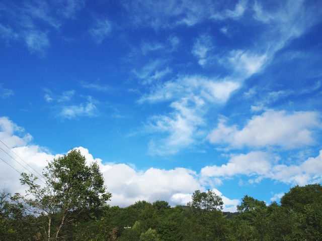 f0179615_2204897.jpg