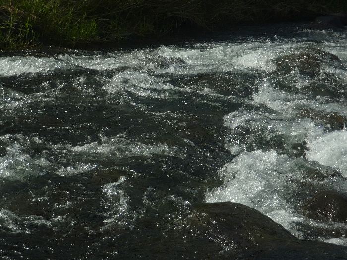 f0103126_18574567.jpg