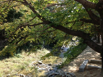 b0132630_21513036.jpg