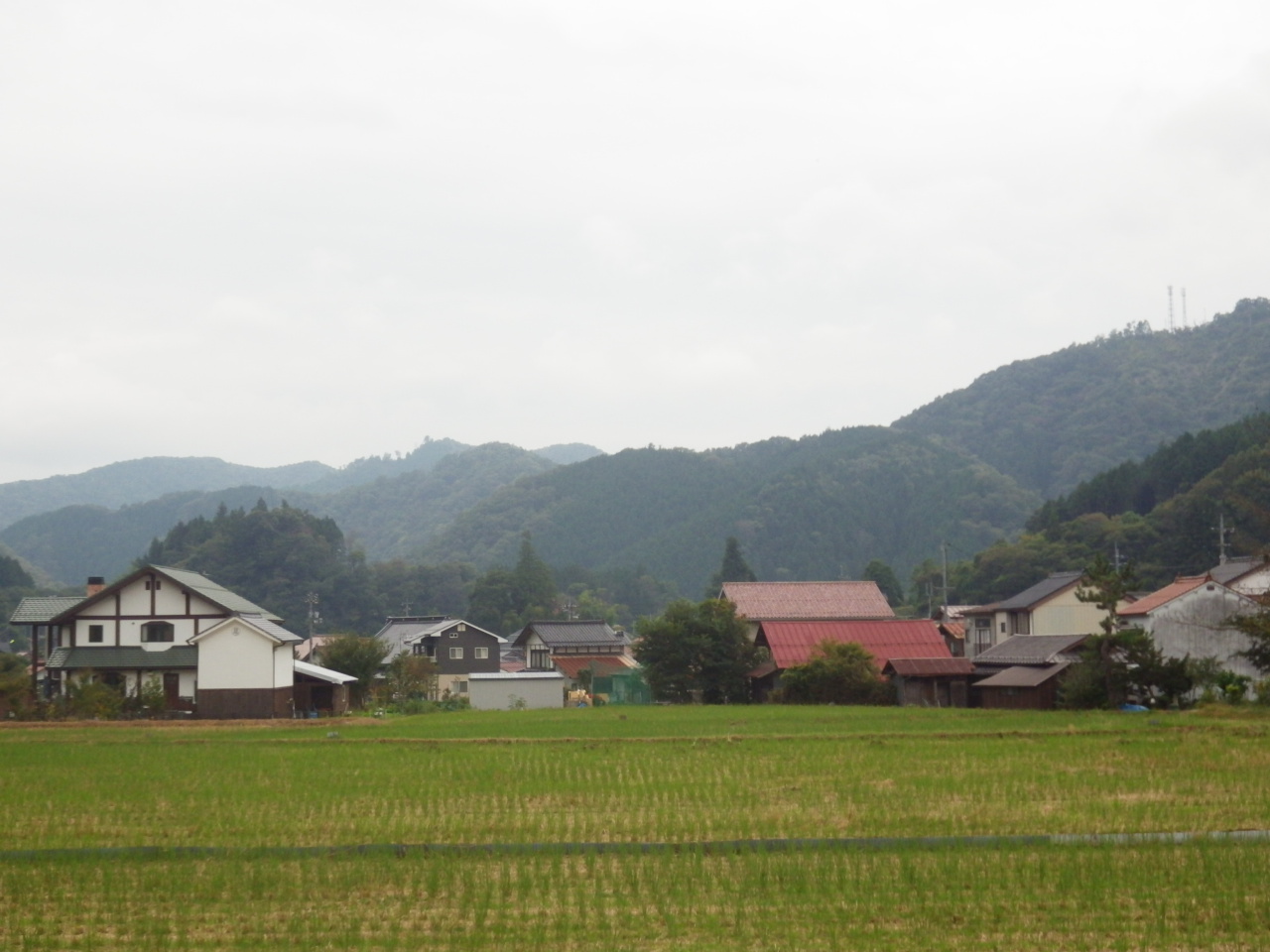 c0300035_164630.jpg