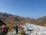 a0107336_2352714.jpg