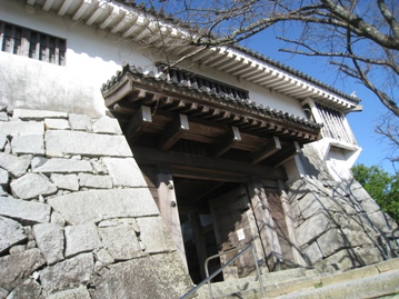 c0077338_619851.jpg