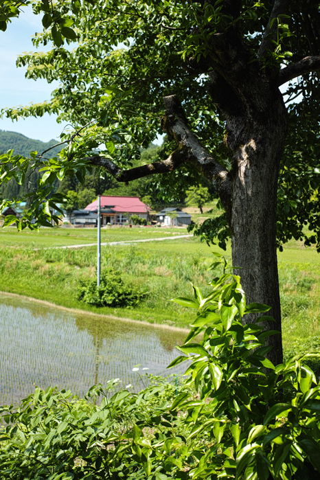 a0049639_210049.jpg